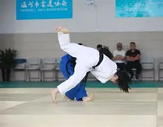 包含柔道夜战:渝州灰熊队读秒扳平齐鲁貔貅队,主帅临场妙招赛季拐点或已出现的词条-球速游戏娱乐