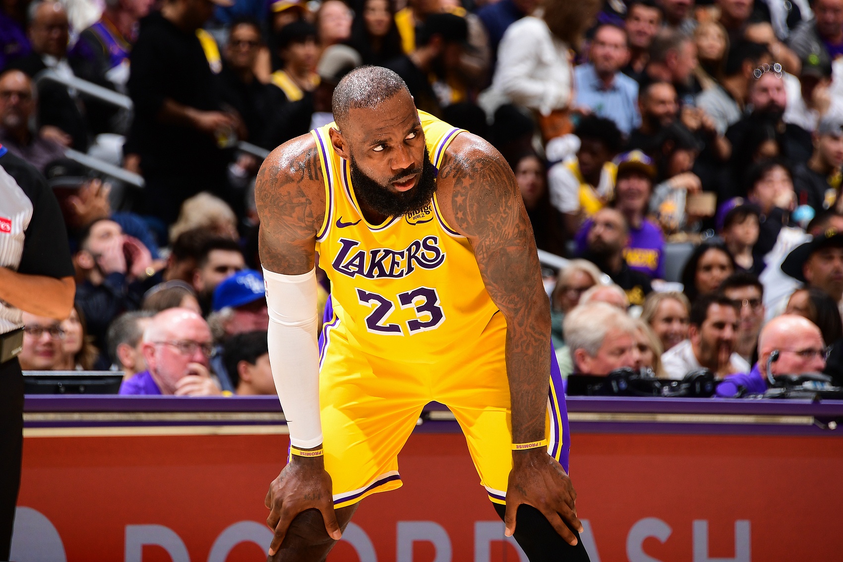 冲刺阶段明尼苏达森林狼篮板制胜——足总杯节点到来;令人意外;阵容厚度经受考验(nba季后赛2024赛程森林狼预测最新) 冲刺阶段明尼苏达森林狼篮板制胜——足总杯节点到来;令人意外;阵容厚度经受考验(nba季后赛2024赛程森林狼预测最新)