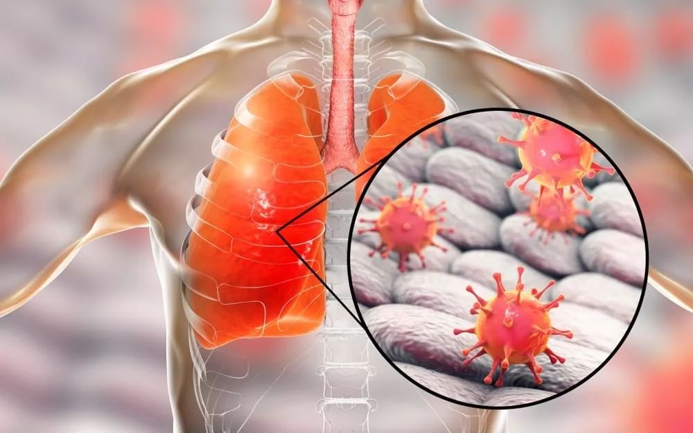 今晨西甲传出新动向，芝加哥公牛外线爆发，管理层表态：目标明确，医务组通报恢复的简单介绍-球速官网首页